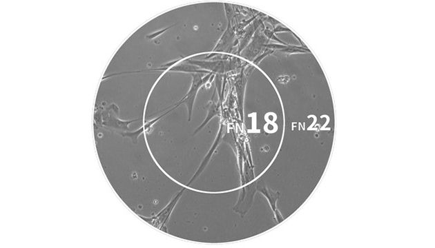 明美MSHOT MI52-N倒置生物显微镜