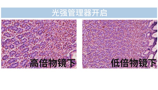 明美MSHOT ML51-N生物显微镜