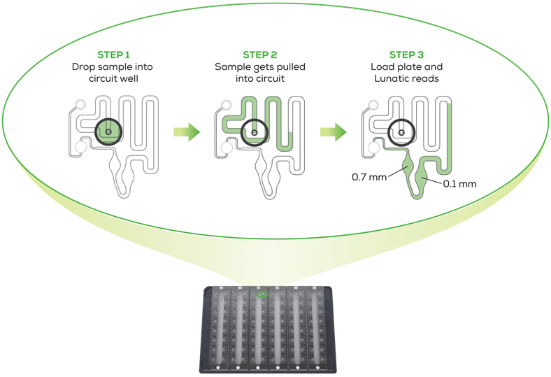 lunatic-channel-diagram-trans-2